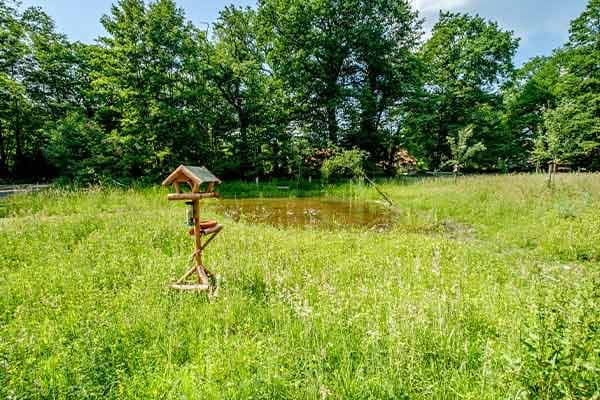 Bloemrijk grasland met een vogelvoederhuisje bij een poel