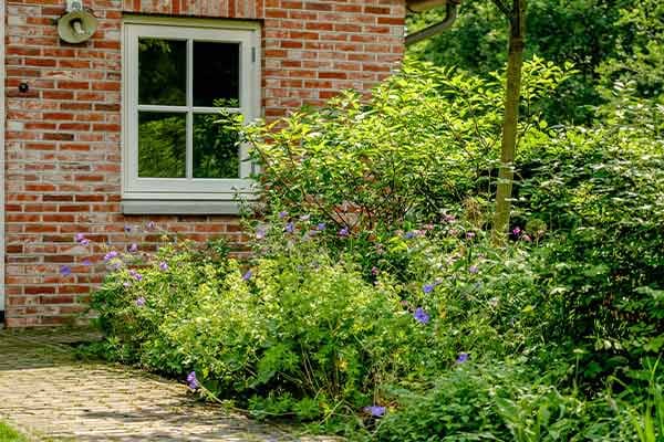 Gevel met borders van vaste planten langs het klinkerpad