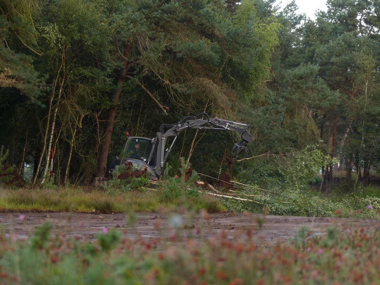 Kraan van Damink aan het werk in de bosrand van de Bergvennen, met bloeiende heide op de voorgrond