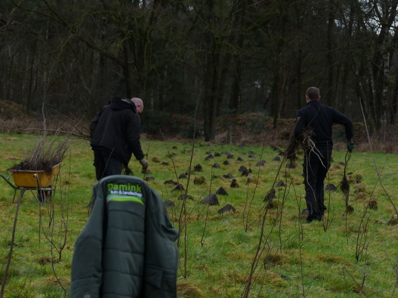 Medewerkers van Damink planten jonge struiken op het open terrein van de Bergvennen