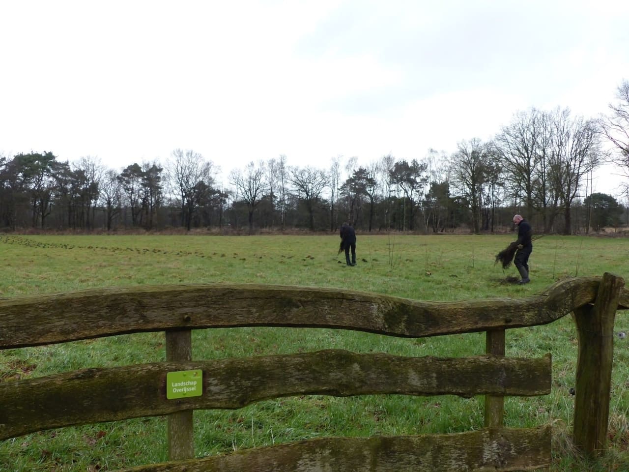 Handgemaakt Twents landhek in een nieuw aangeplant landschap