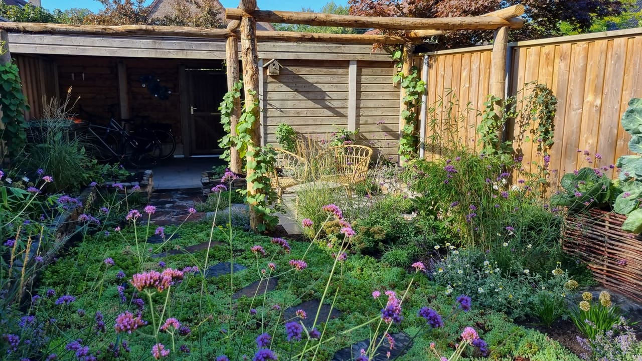 Stadstuin met pergola en bloeiende beplanting