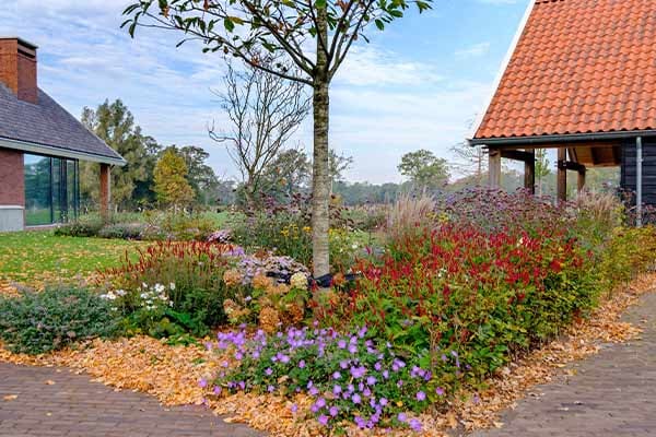 Borders met vaste planten op het erf
