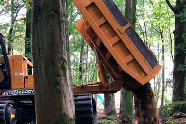 Kipper lost grond tussen de bomen